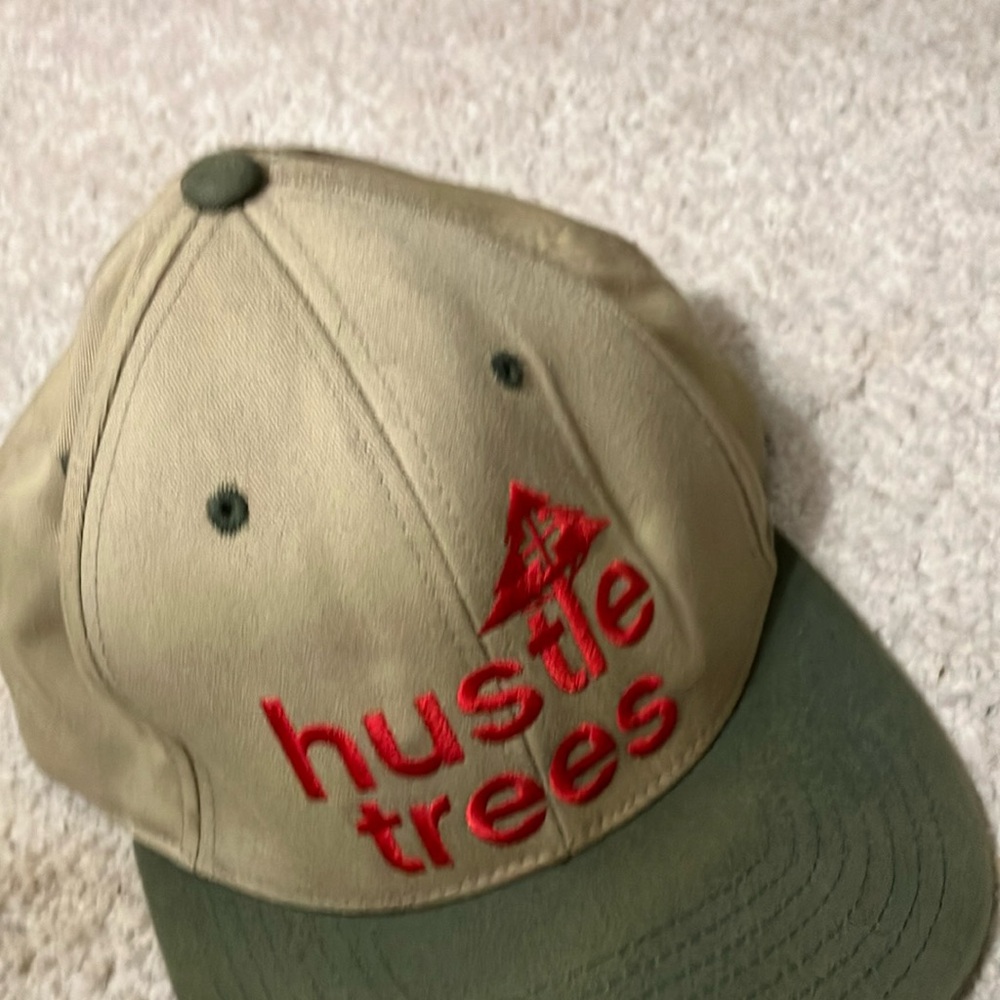 LRG hustle trees Beige and Green Cap